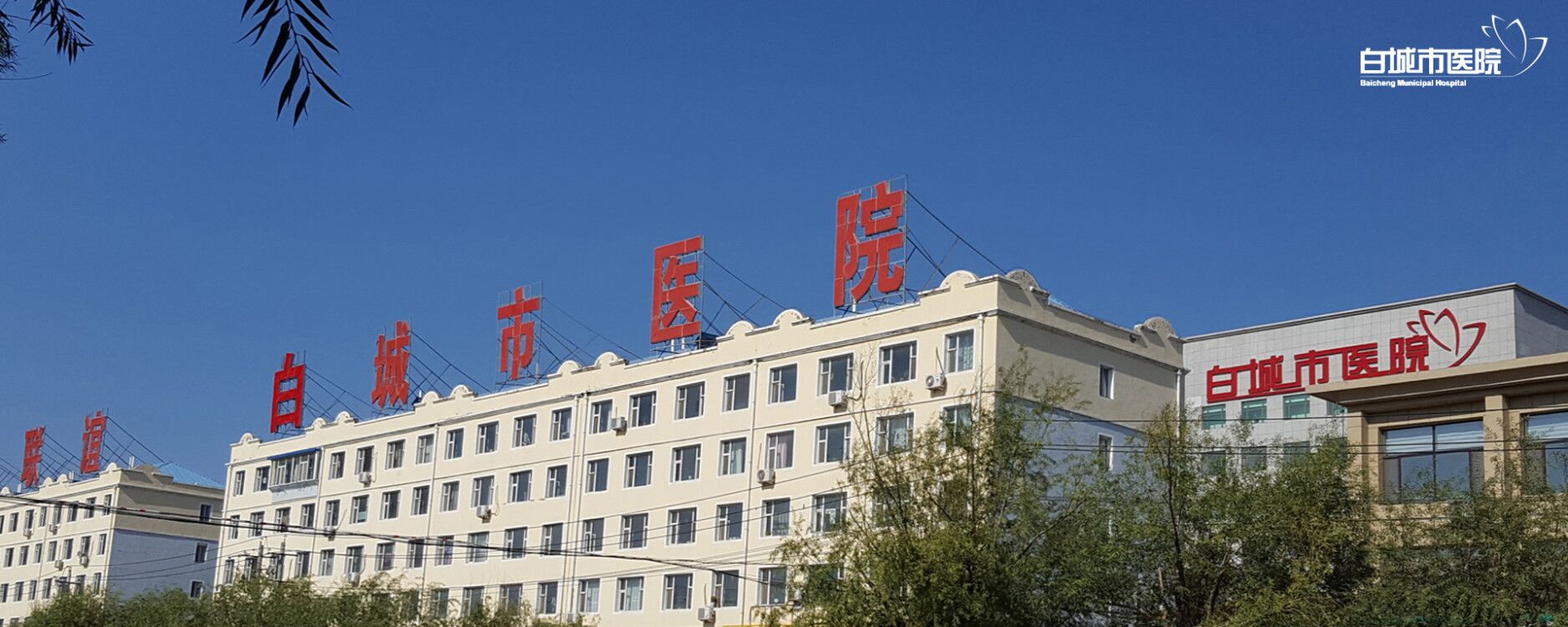 金年会app联合标识设计