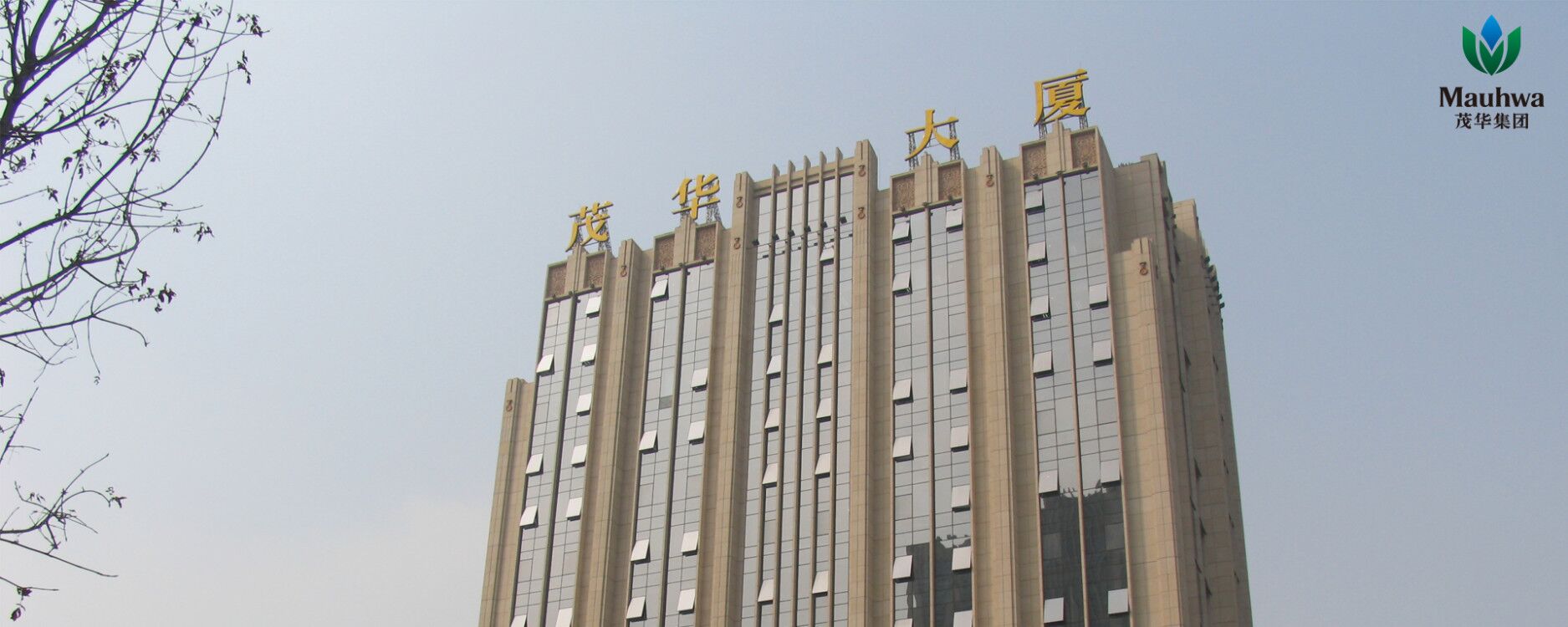 金年会app联合标识设计