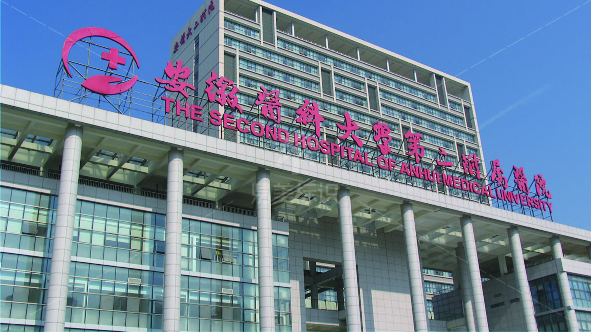 金年会app联合标识设计
