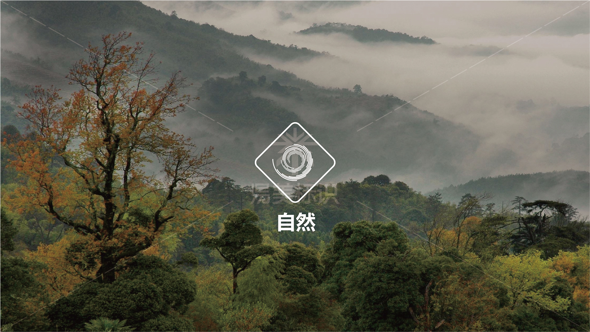 金年会app联合标识设计