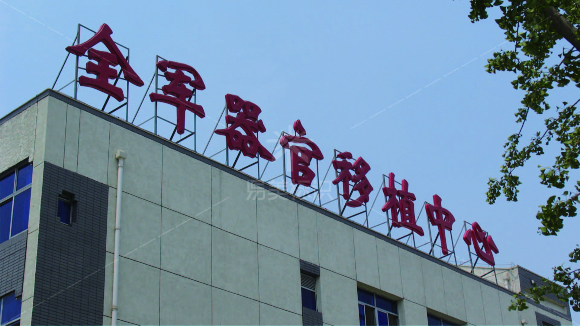 金年会app联合标识设计